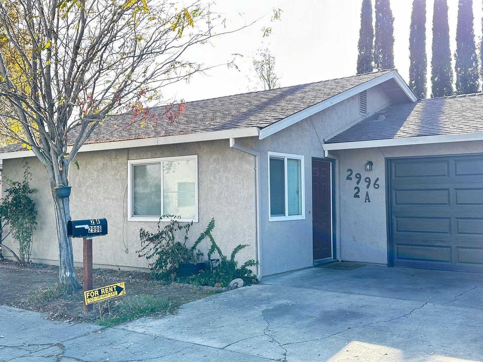 2996 Holly Dr photo 5