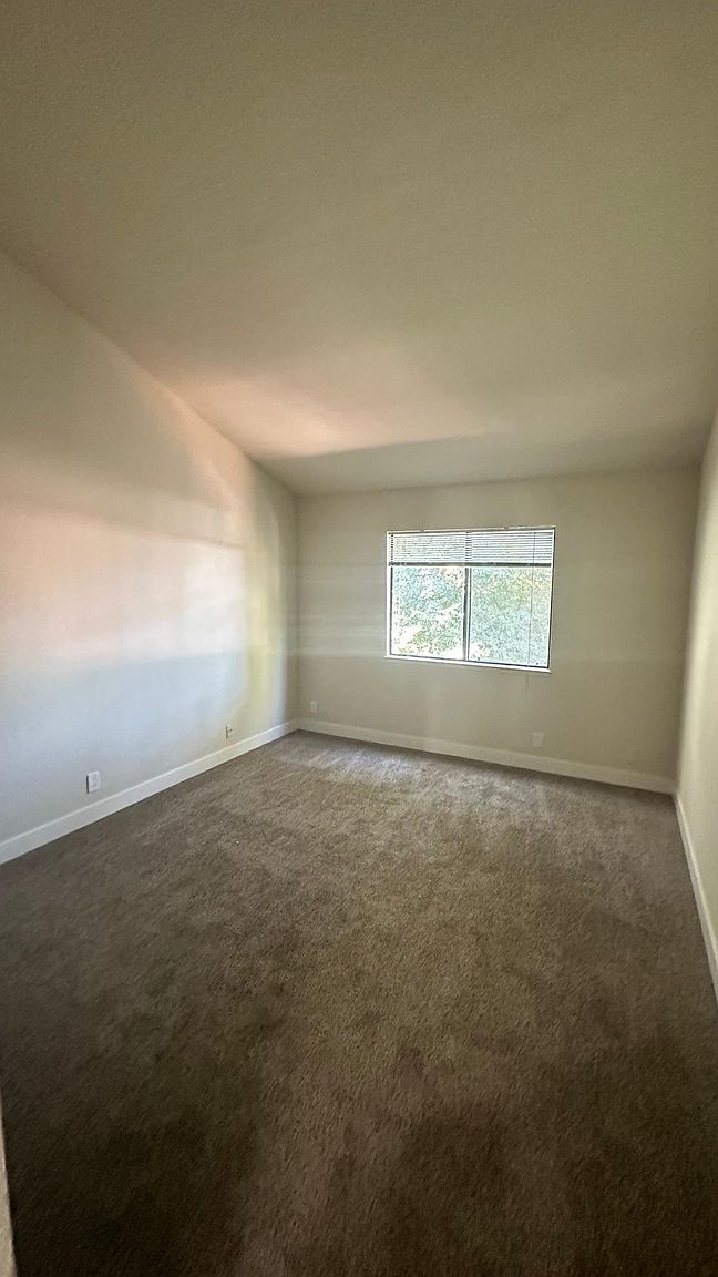 1687 Tice Valley Blvd photo 5