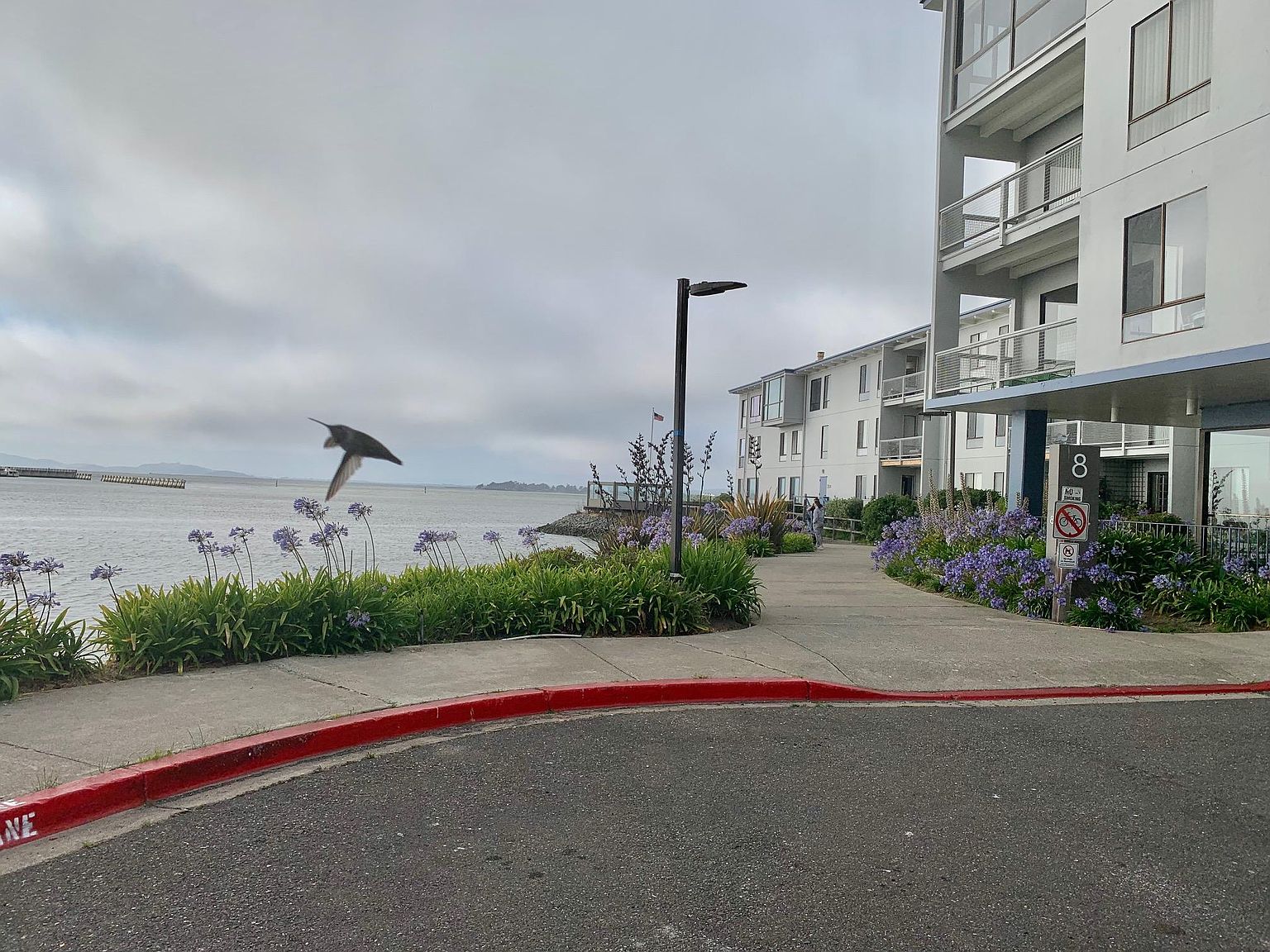 Large 1BR/1BA With Lots of Storage at Watergate by the bay photo 2
