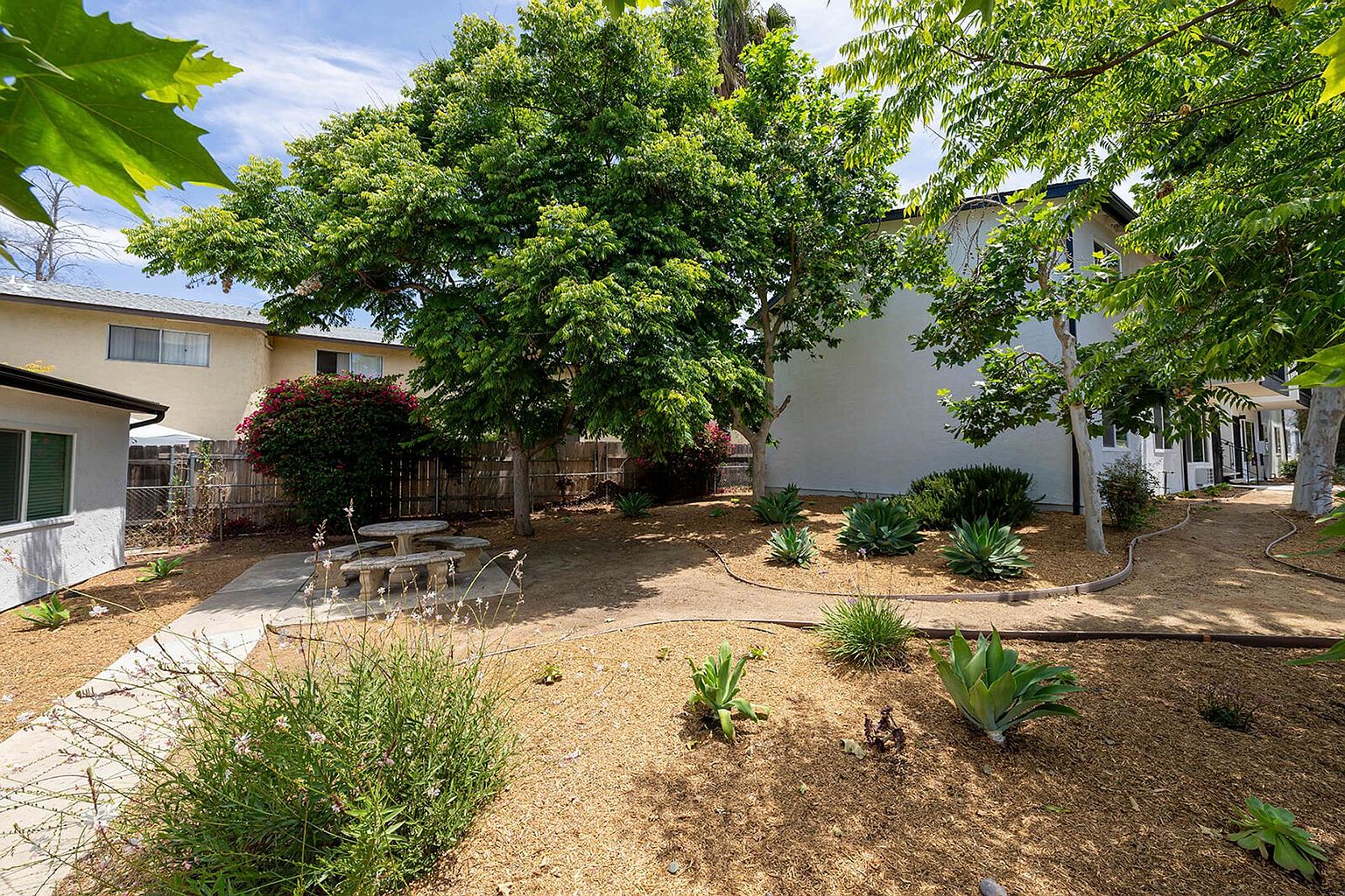 2 beds  1.0 baths photo 4
