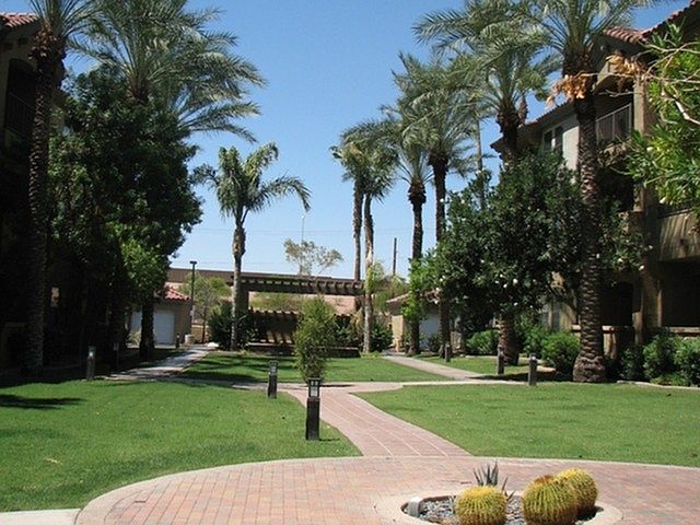 5302 E Van Buren St Phoenix, AZ 85008 photo 4