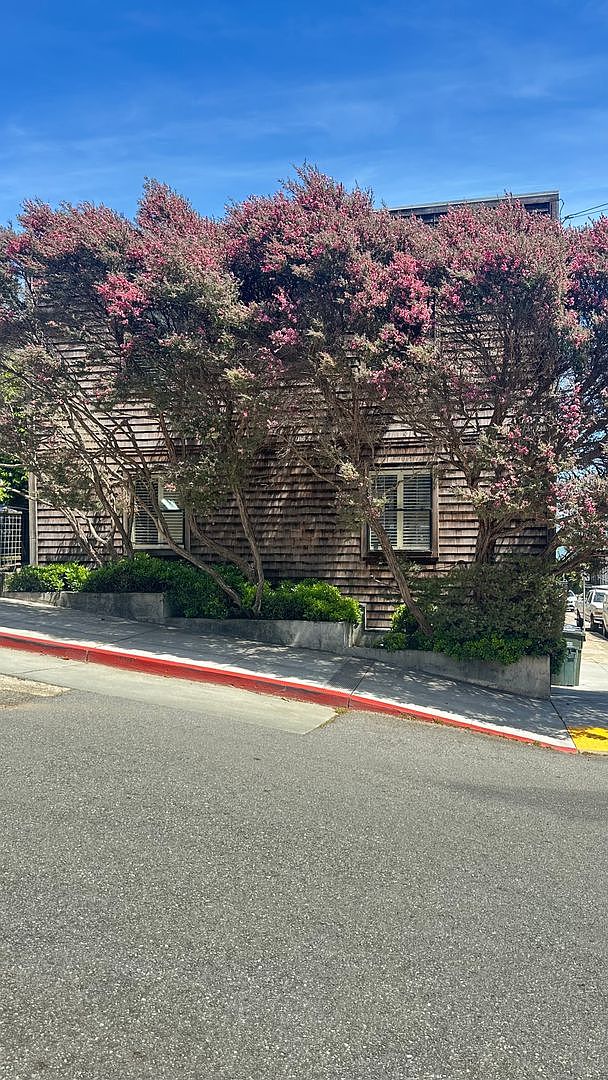 314 Main Street, Sausalito, CA 94965 photo 3