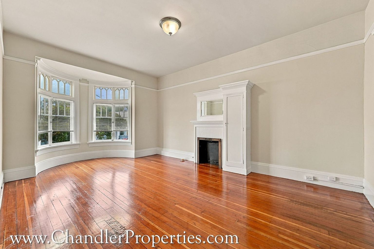Masonic Avenue SF Apartment photo 2