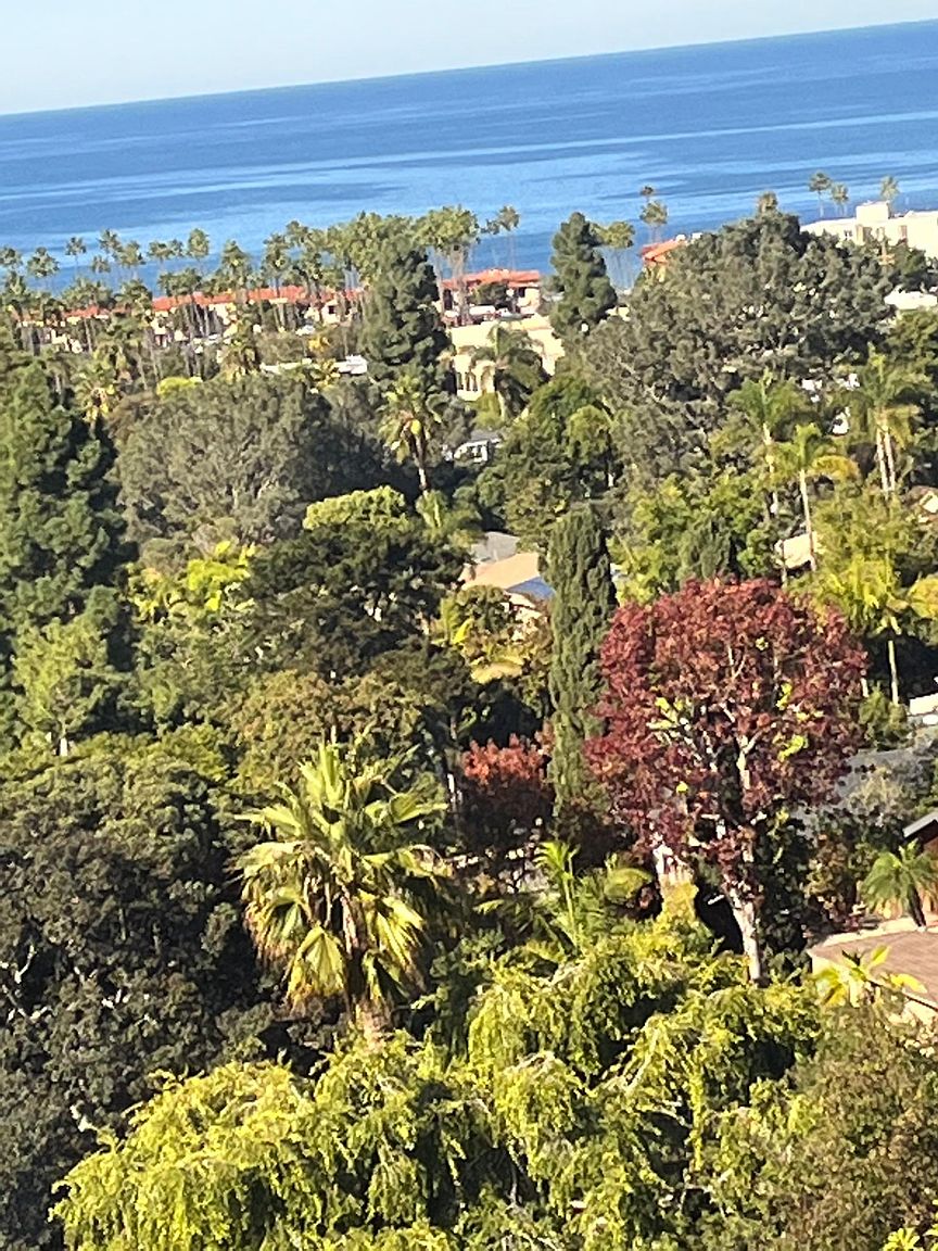 2500 Torrey Pines Rd photo 4