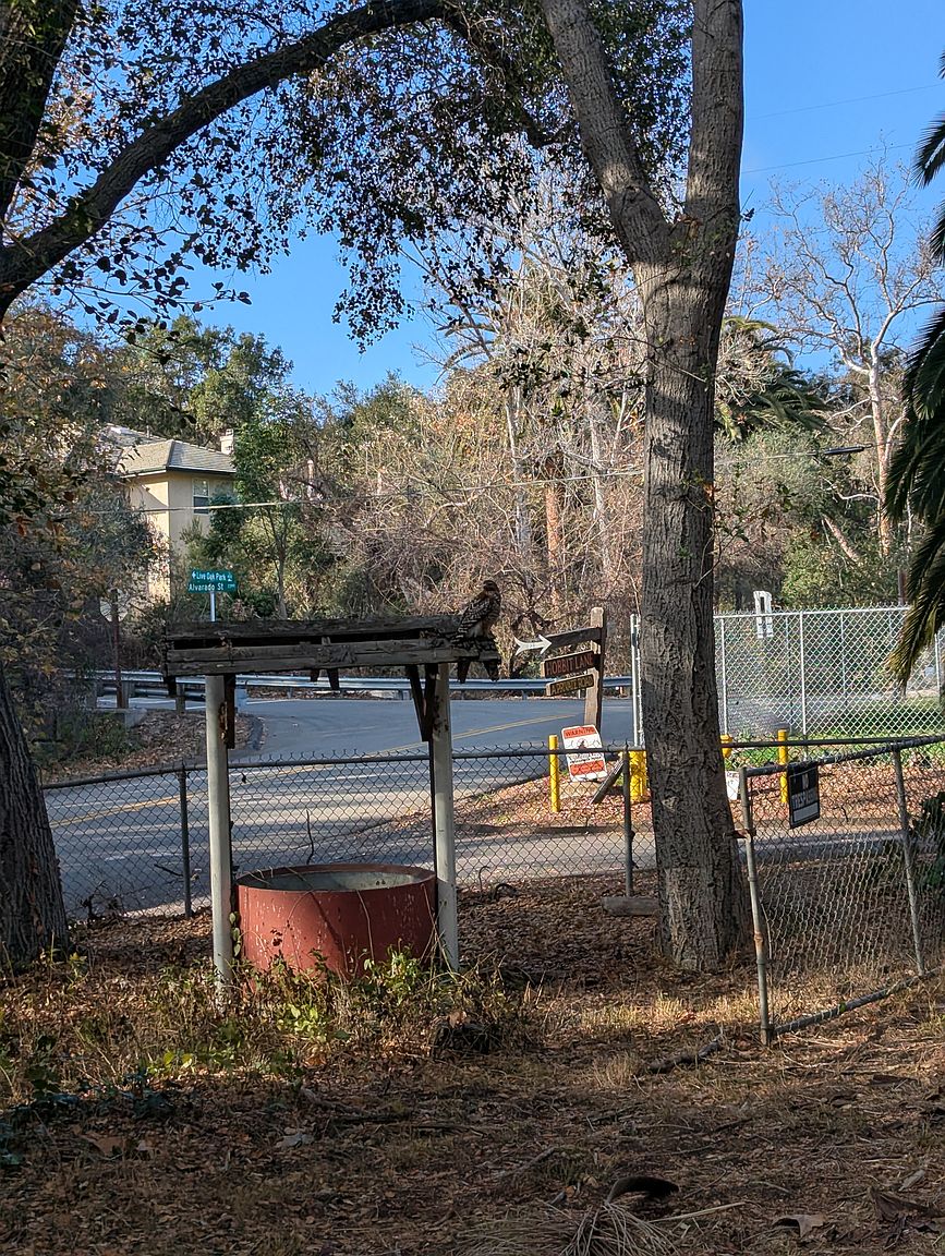 2419 Hobbit Ln photo 3