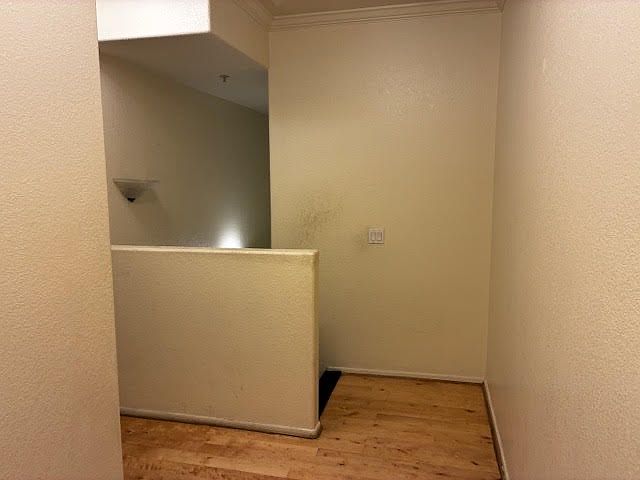 435 W RIO SALADO Parkway photo 4