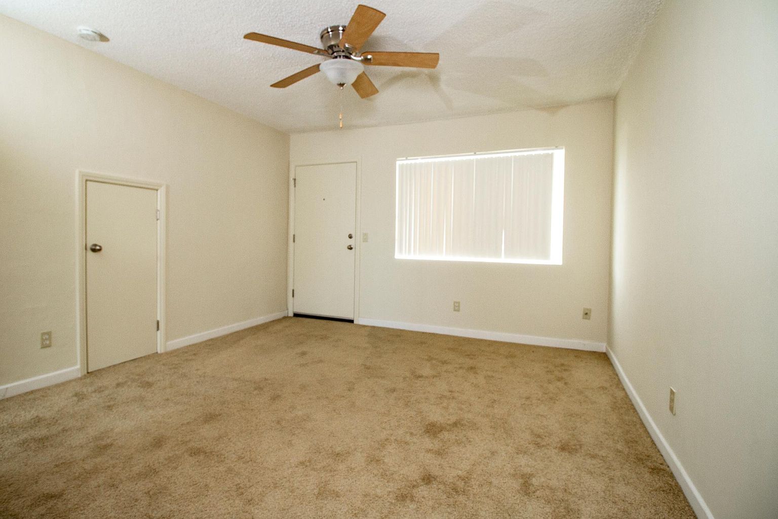136 Euclid Ave photo 5