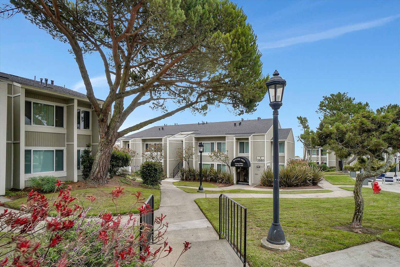 Large 1 Bed 1 Bath photo 3