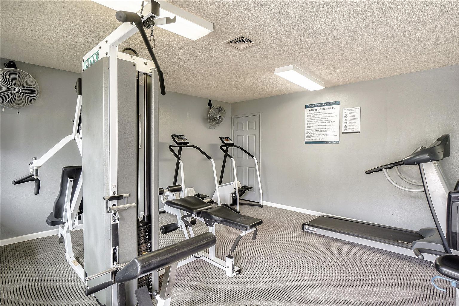 Large 1 Bed 1 Bath photo 2