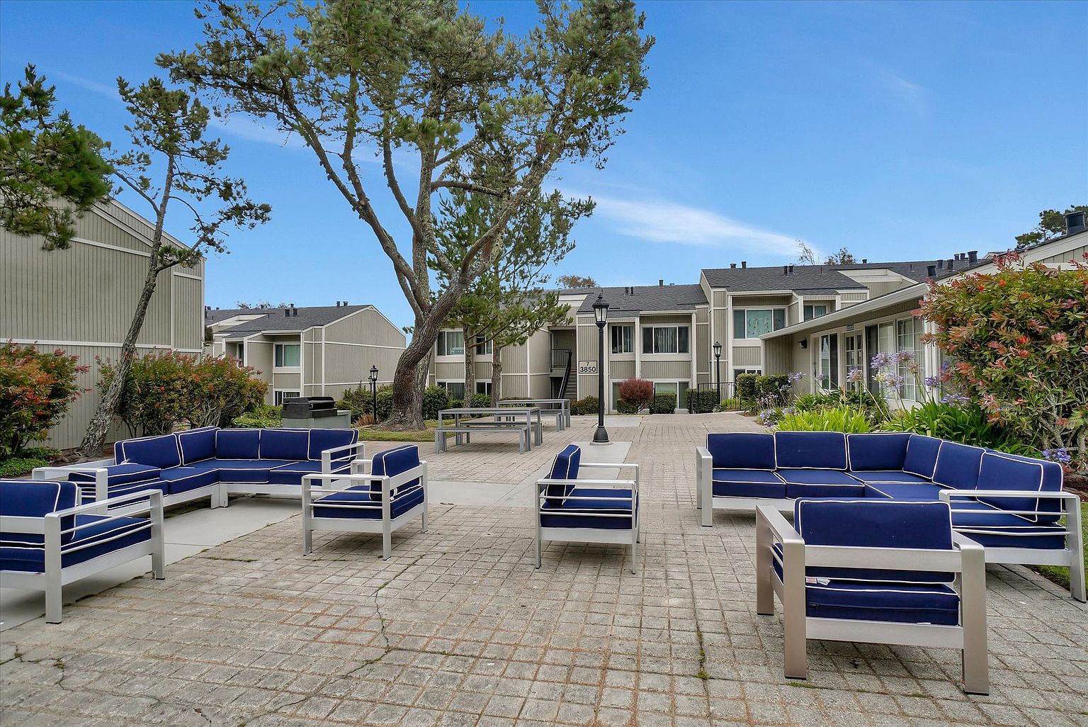 Large 1 Bed 1 Bath photo 4