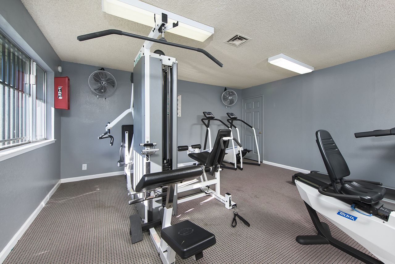 Large 1 Bed 1 Bath photo 5