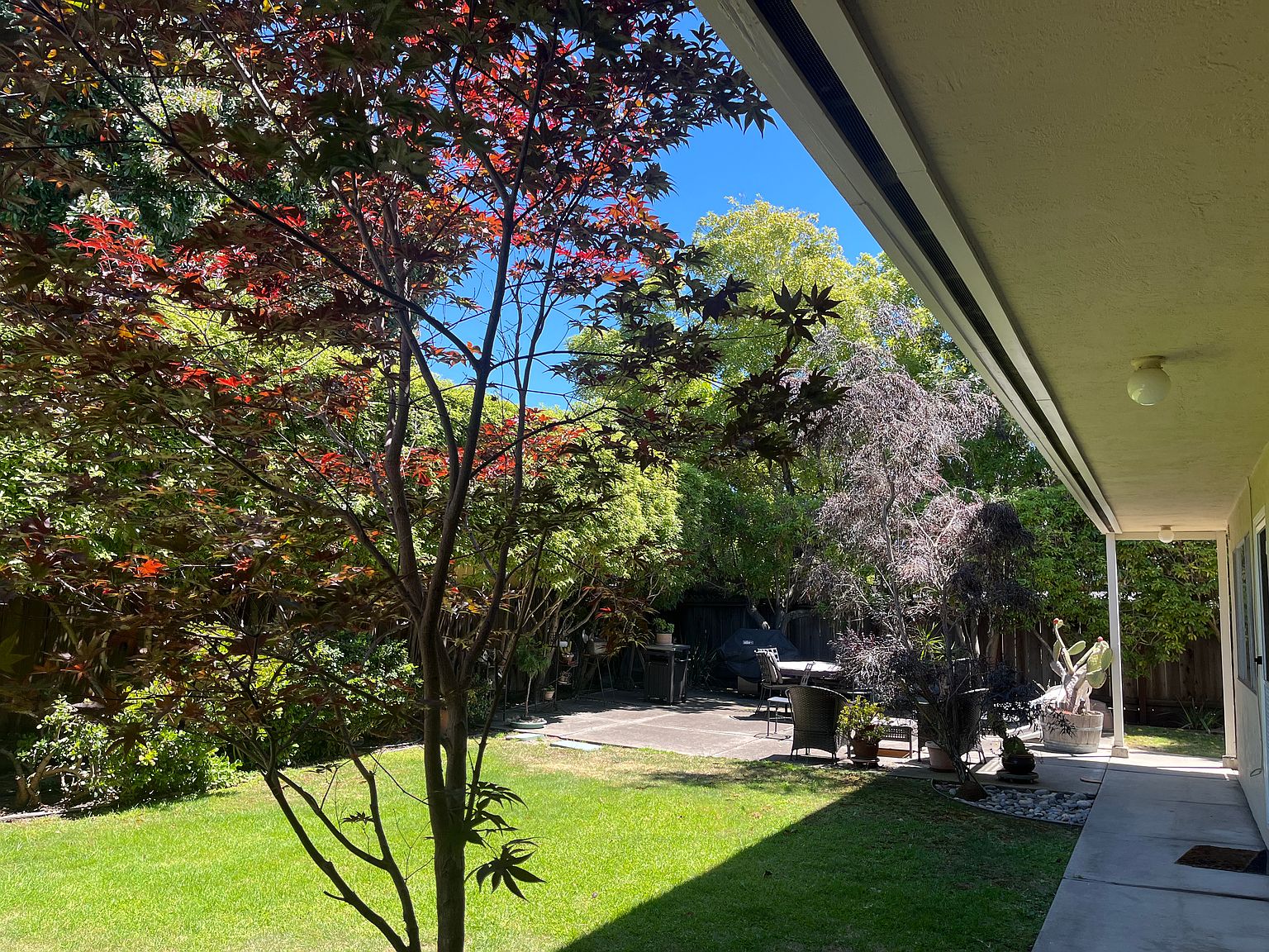 2BR/1BA Apartment on San Antonio Ave · Alameda photo 3