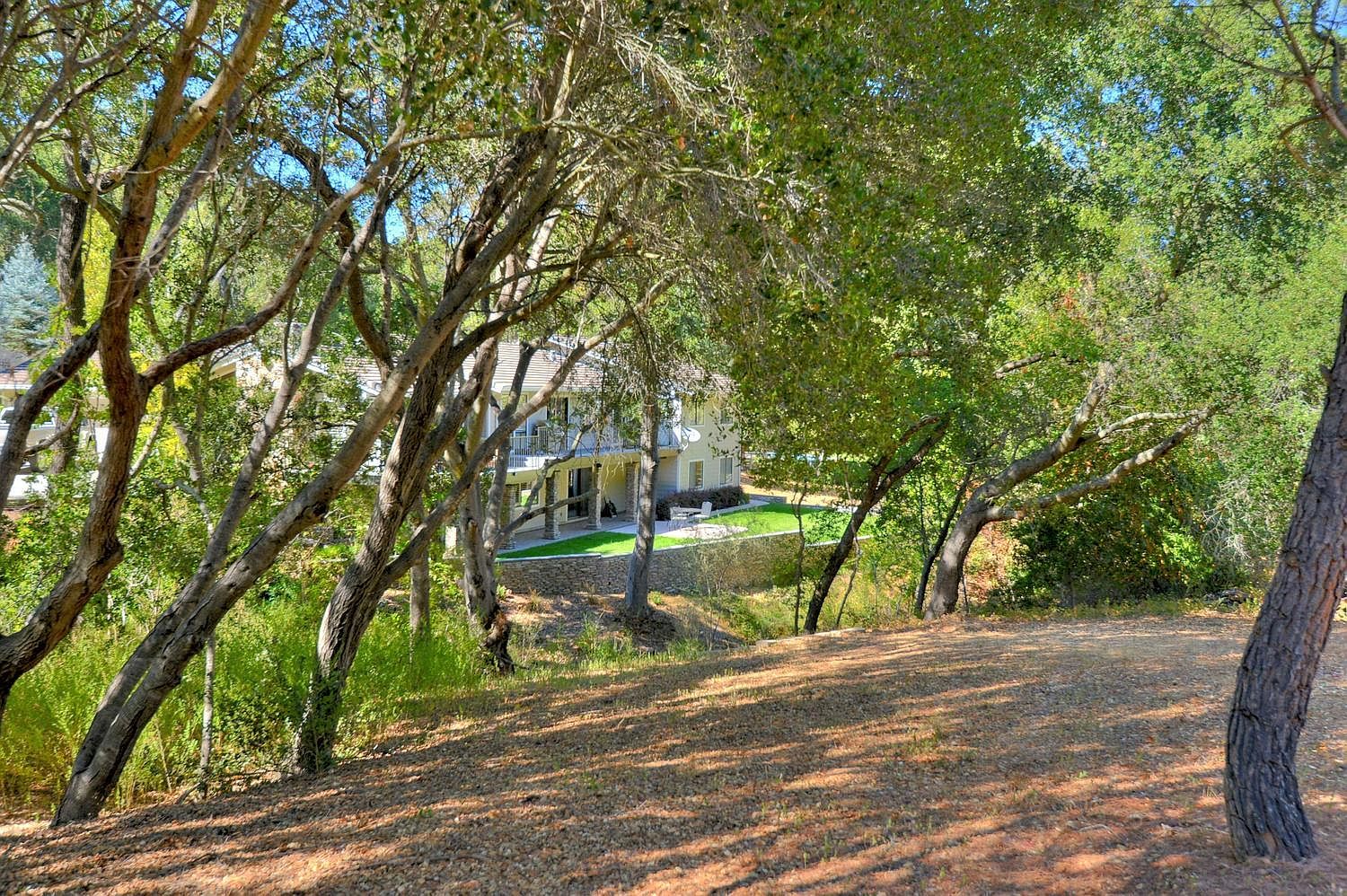 18601 Blythswood Dr photo 4