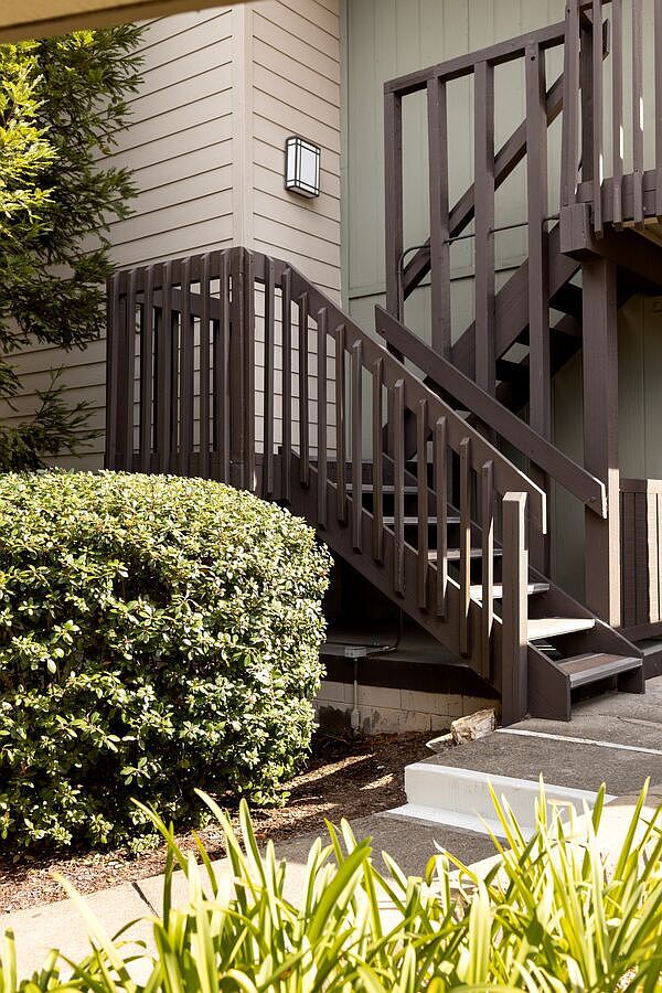 Crystal Springs Terrace photo 5