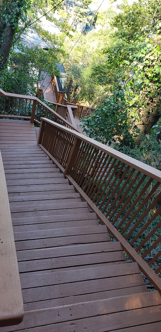 68 Edwards Ave photo 3