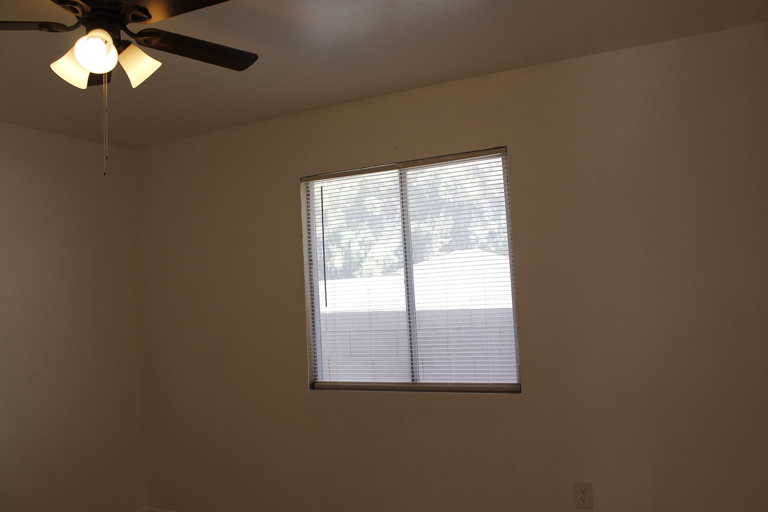 1234 S 14th Ave #2 photo 5