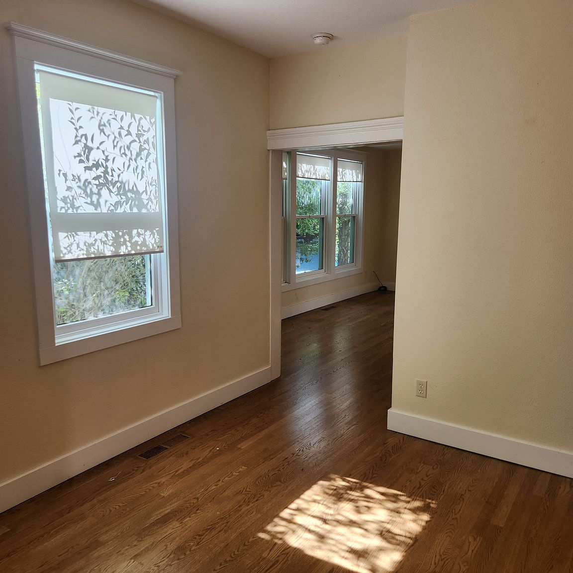 923 Cherry St Floor 1 photo 4