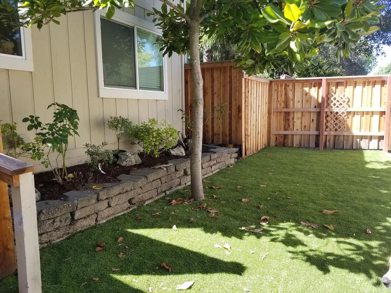 7565 Bodega Ave photo 2