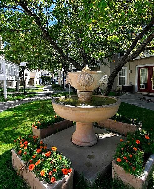 39150 Cedar Boulevard, Newark, CA 94560 photo 3