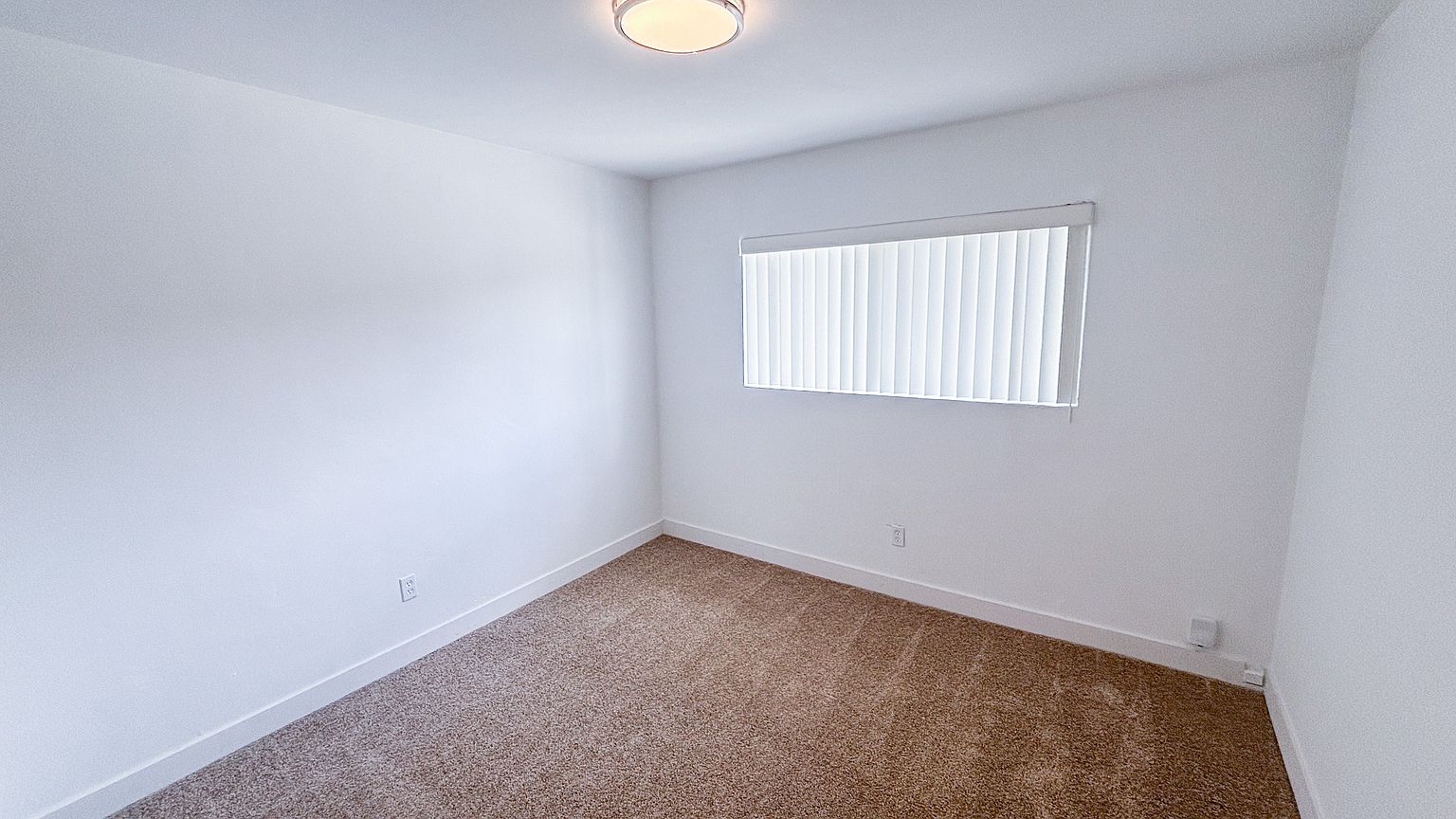4390 Rosebud Ln photo 4