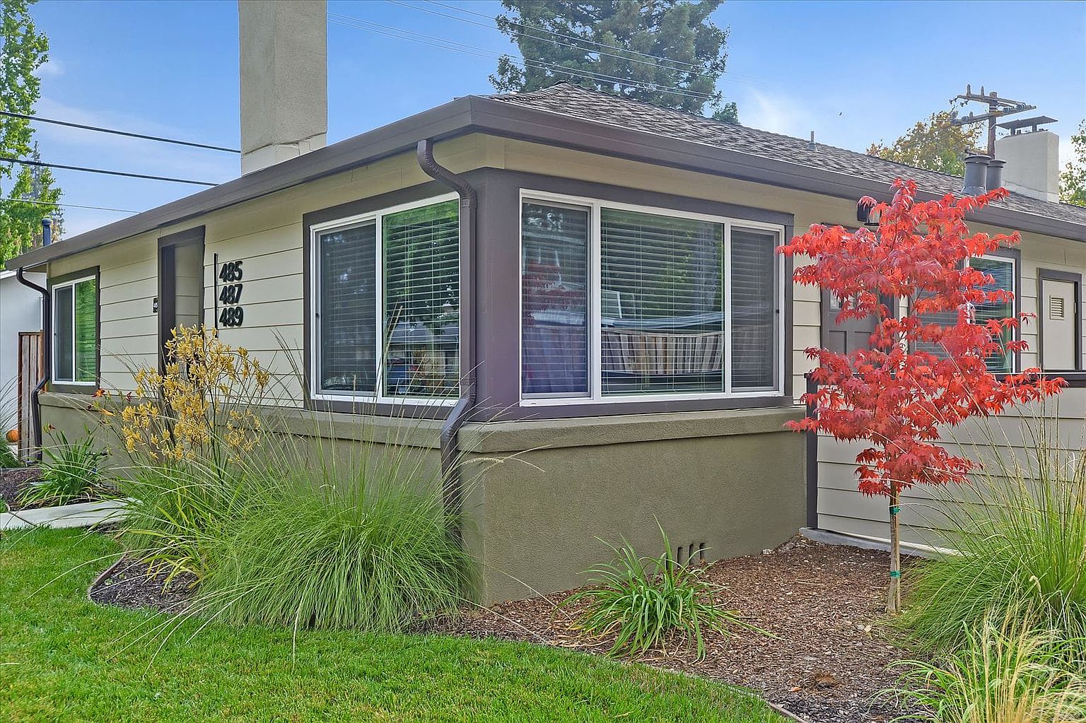 485 Waverley St photo 4