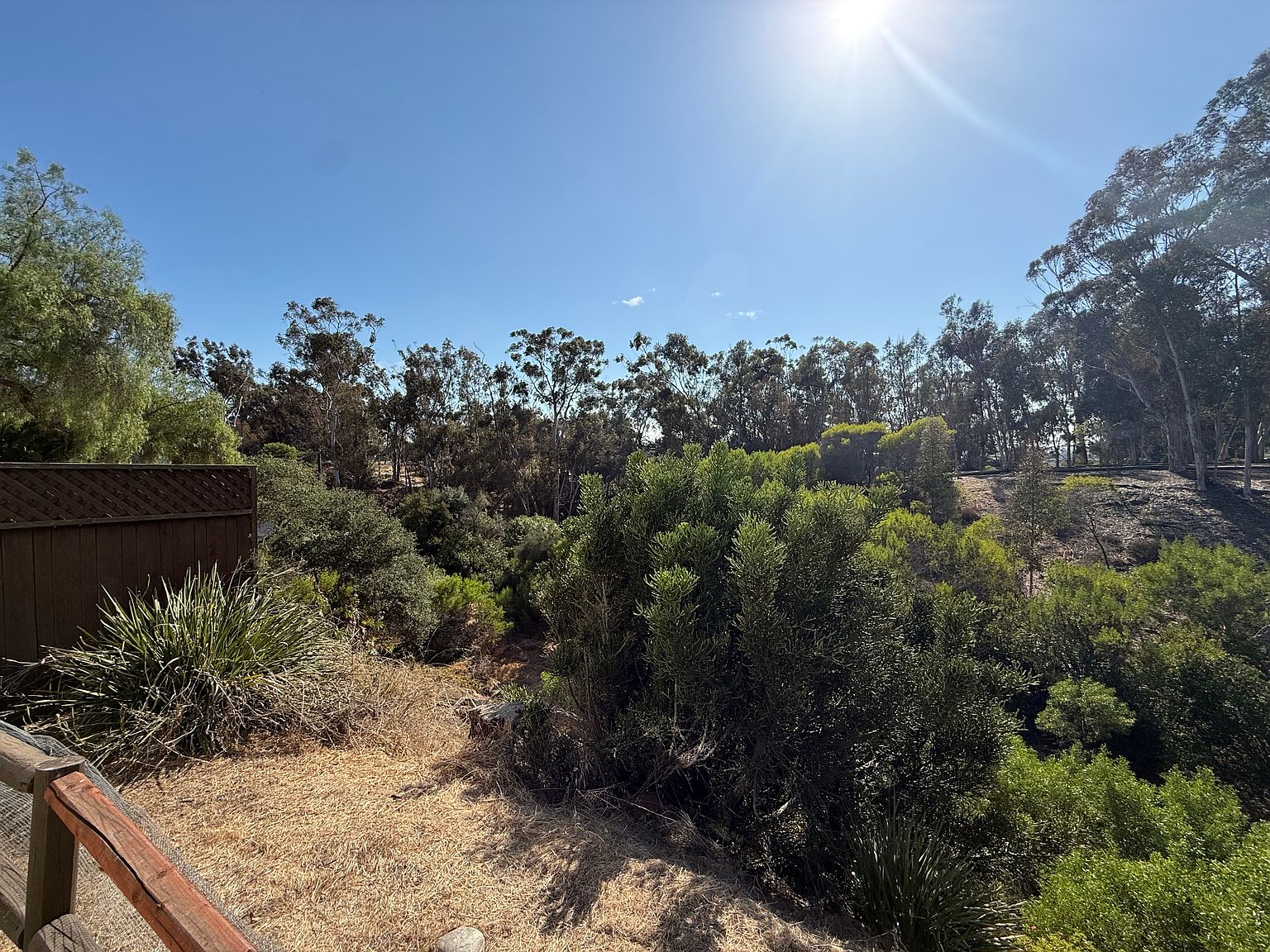 1818 Granada Ave photo 5