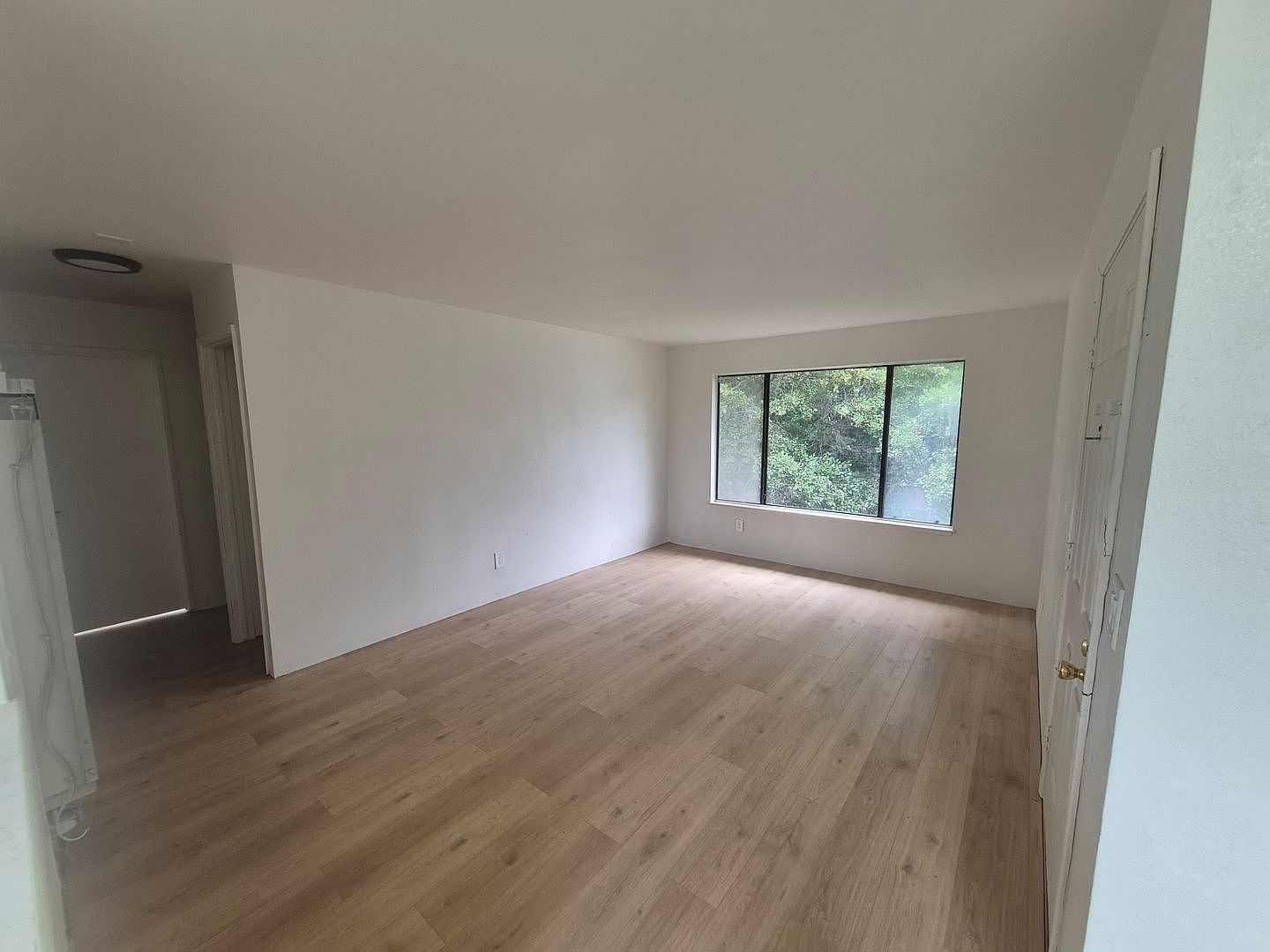 22236 Main St Hayward, CA 94541 photo 3