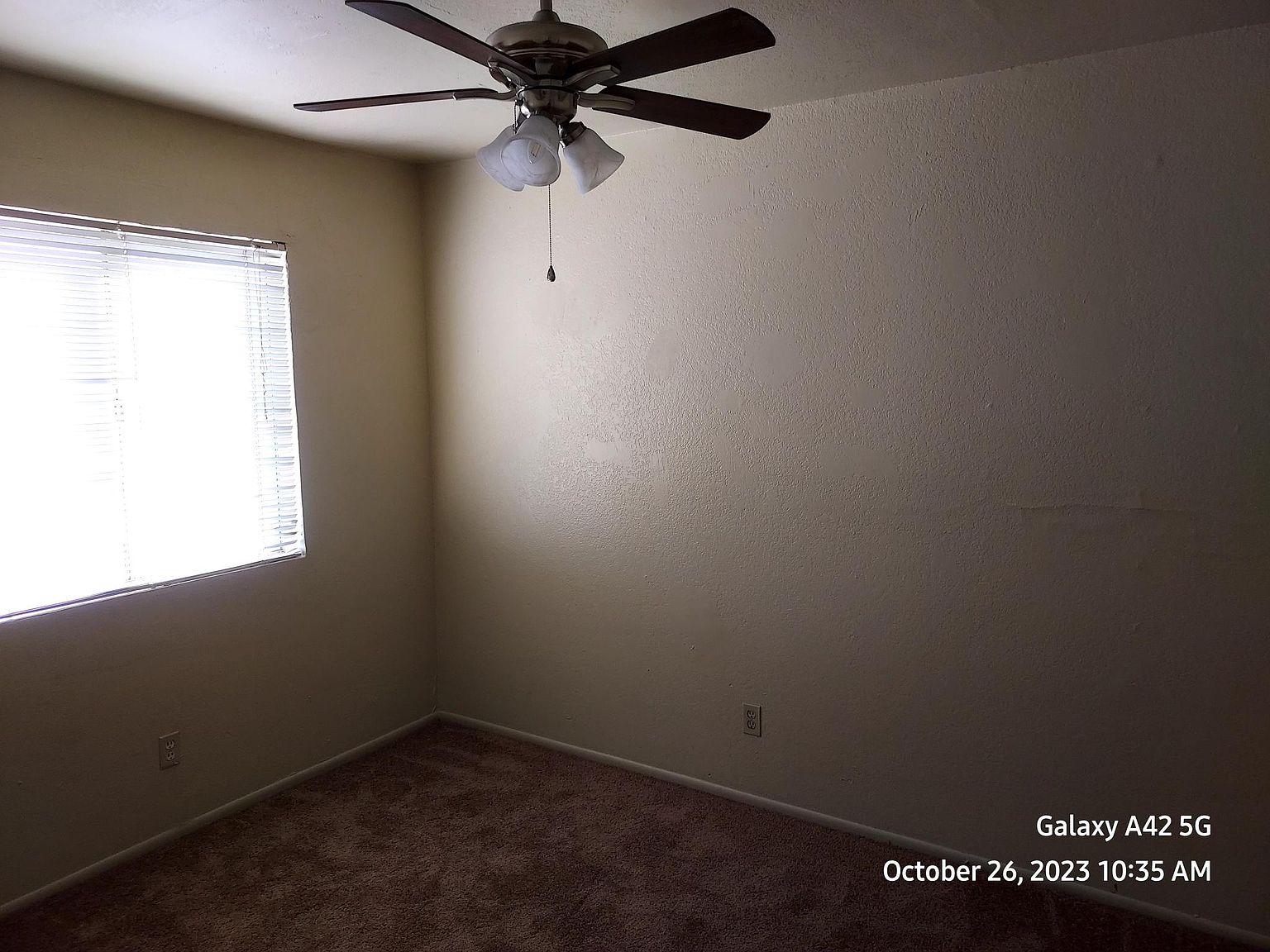 813 N 8th Ave photo 5
