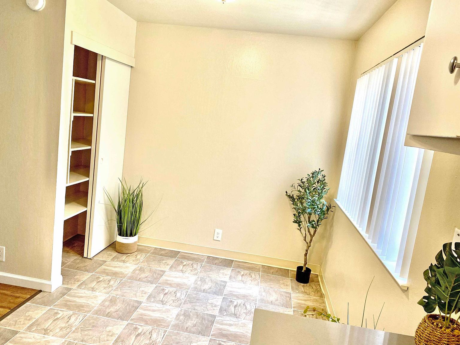 369 Palm Ave photo 5