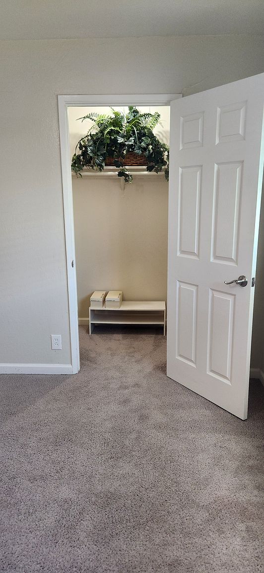 Main Street Apartments photo 3