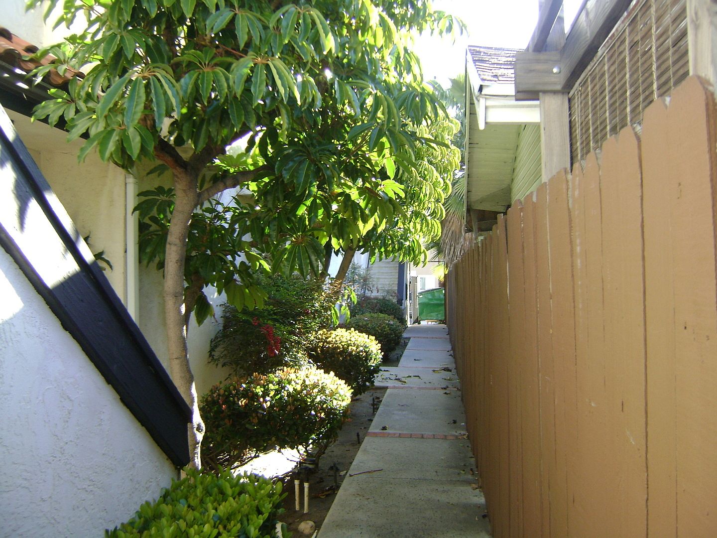 7 photo 4