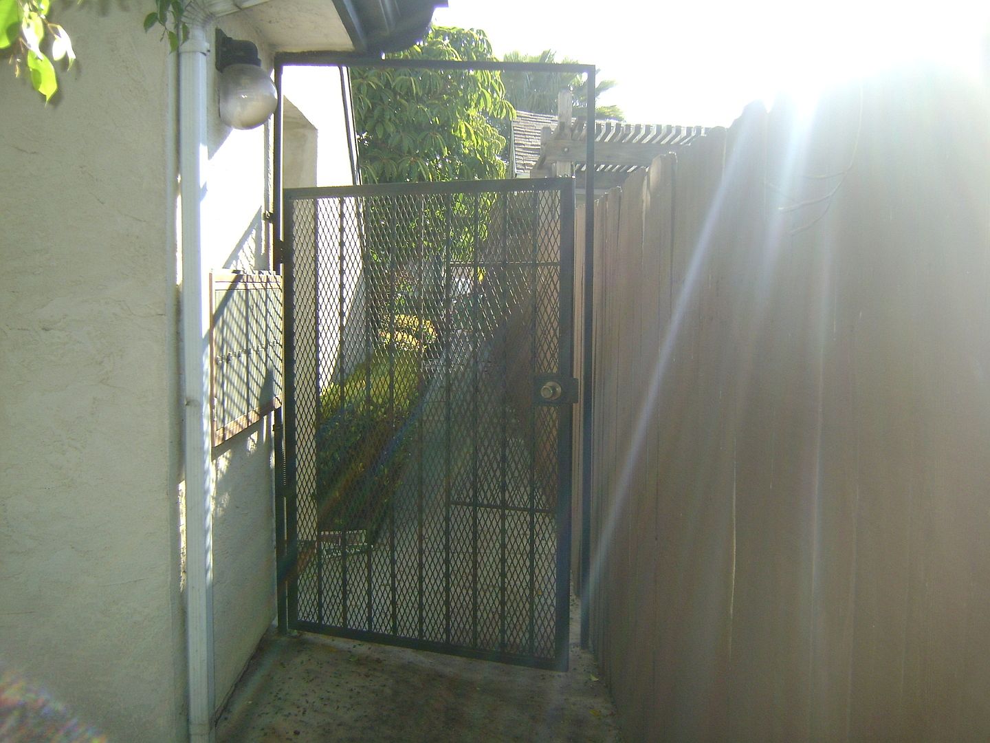 7 photo 3