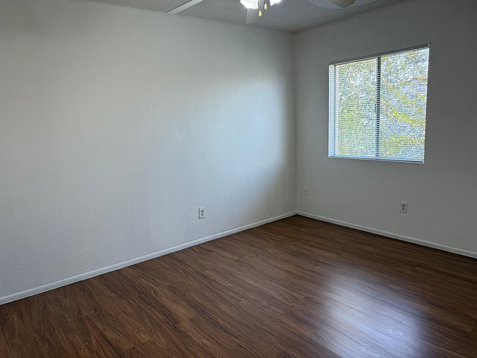1603 W Denton Ln photo 4