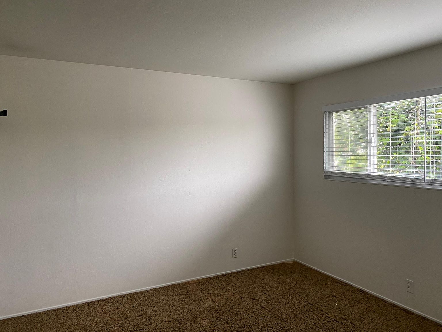 226 Albion Ave photo 4