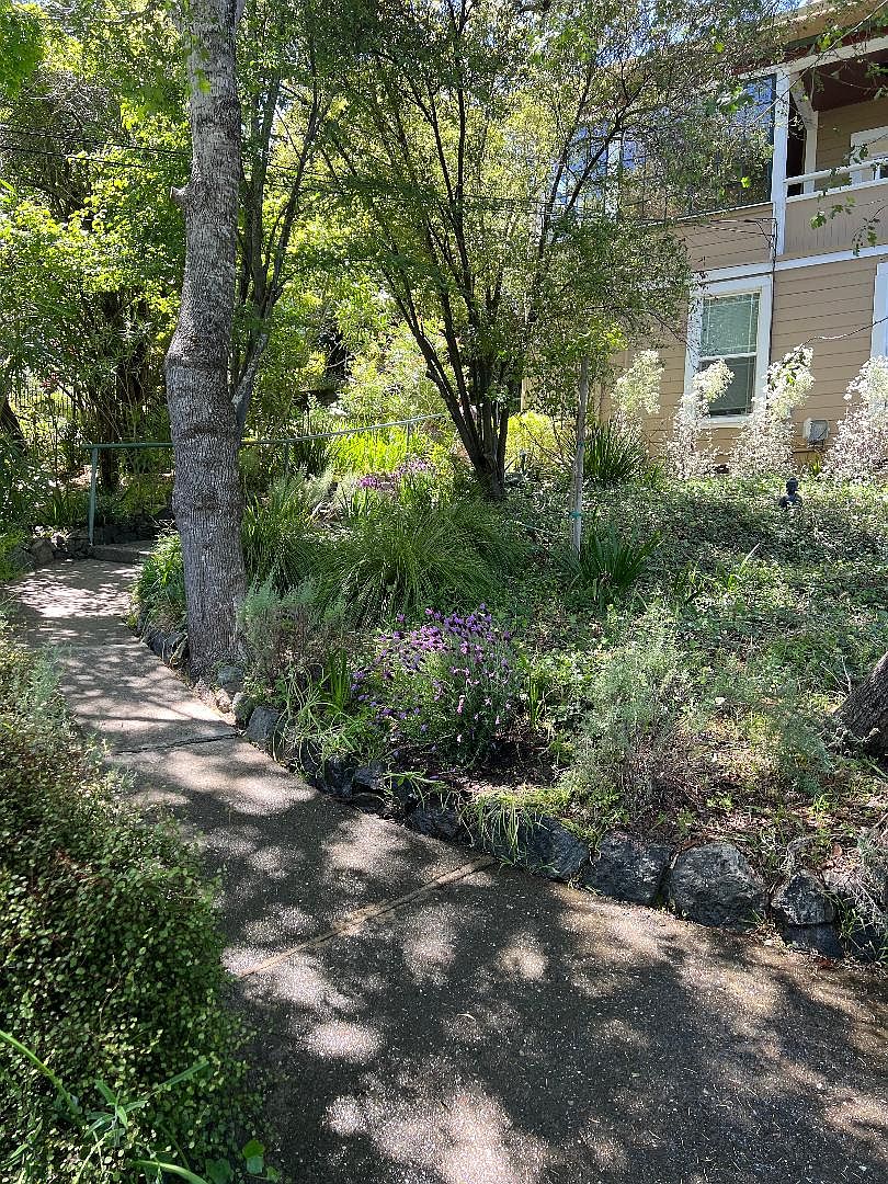 121 Grove Ave photo 4