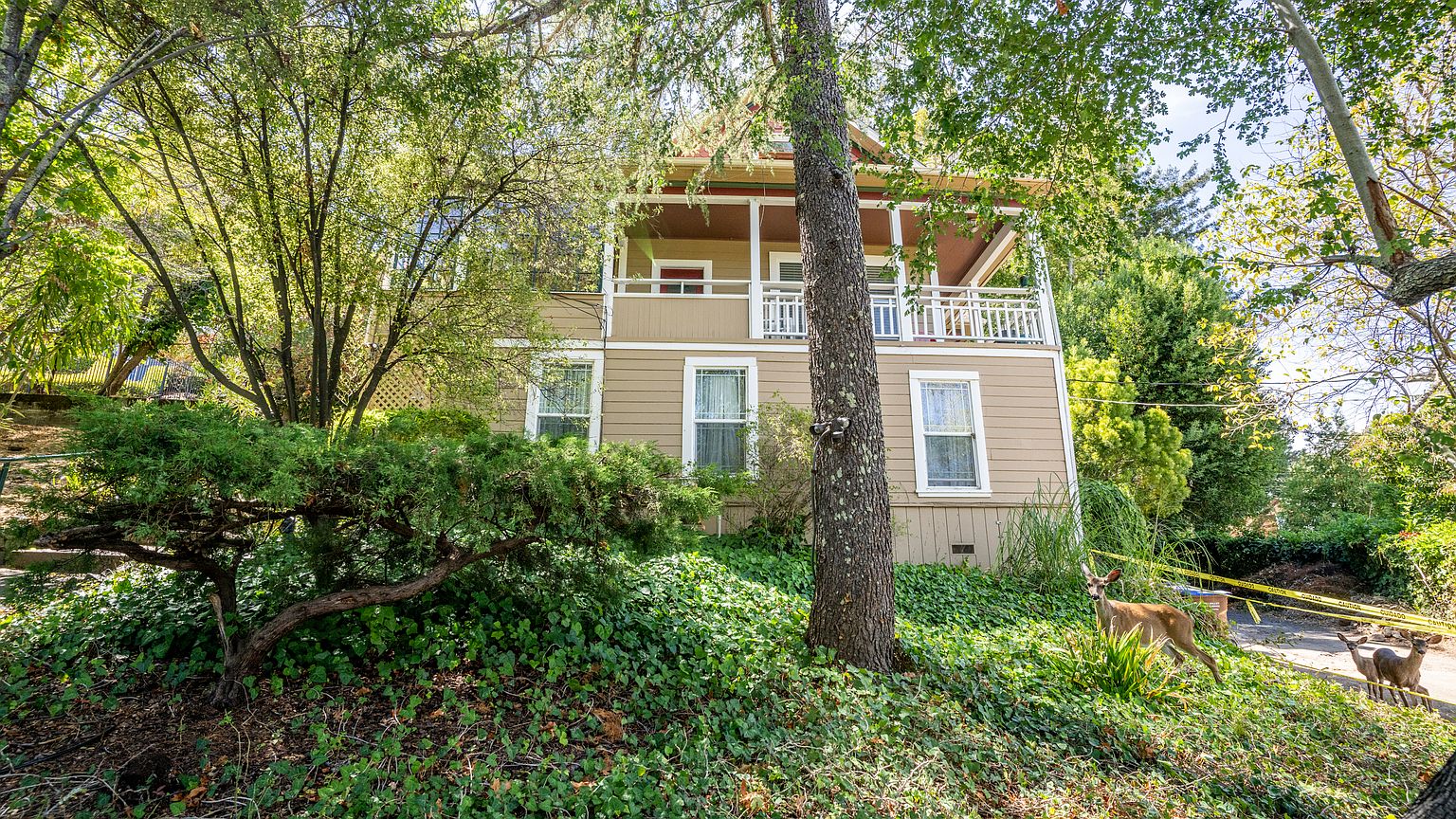 121 Grove Ave photo 2