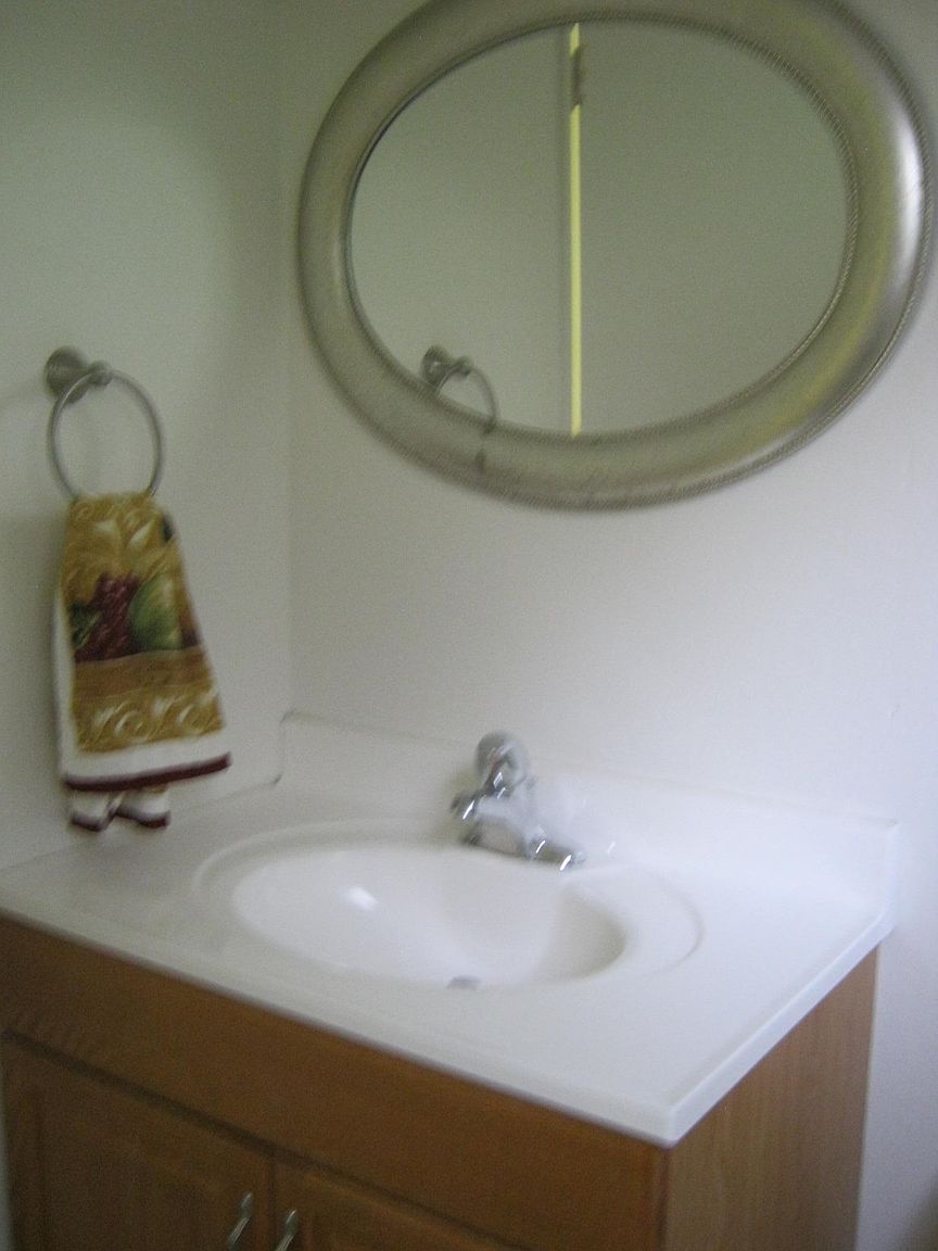 3788 Dove St photo 3