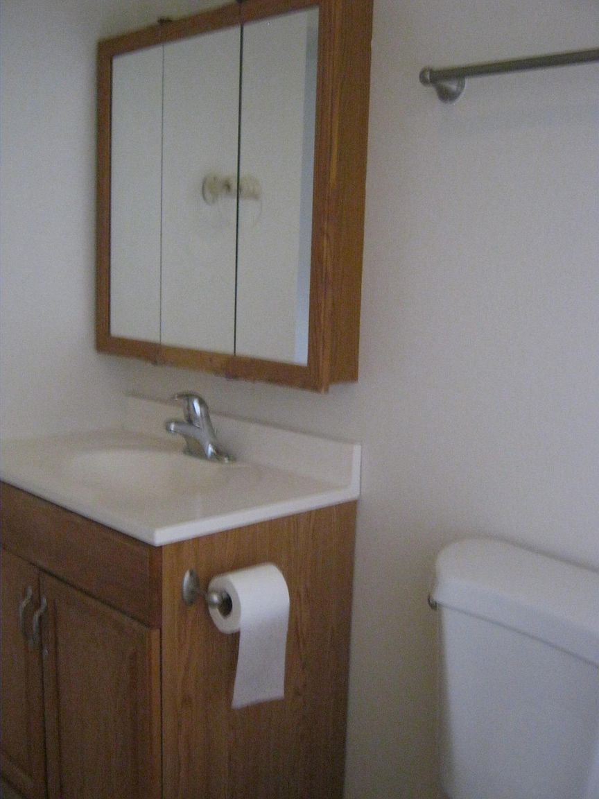 3788 Dove St photo 5