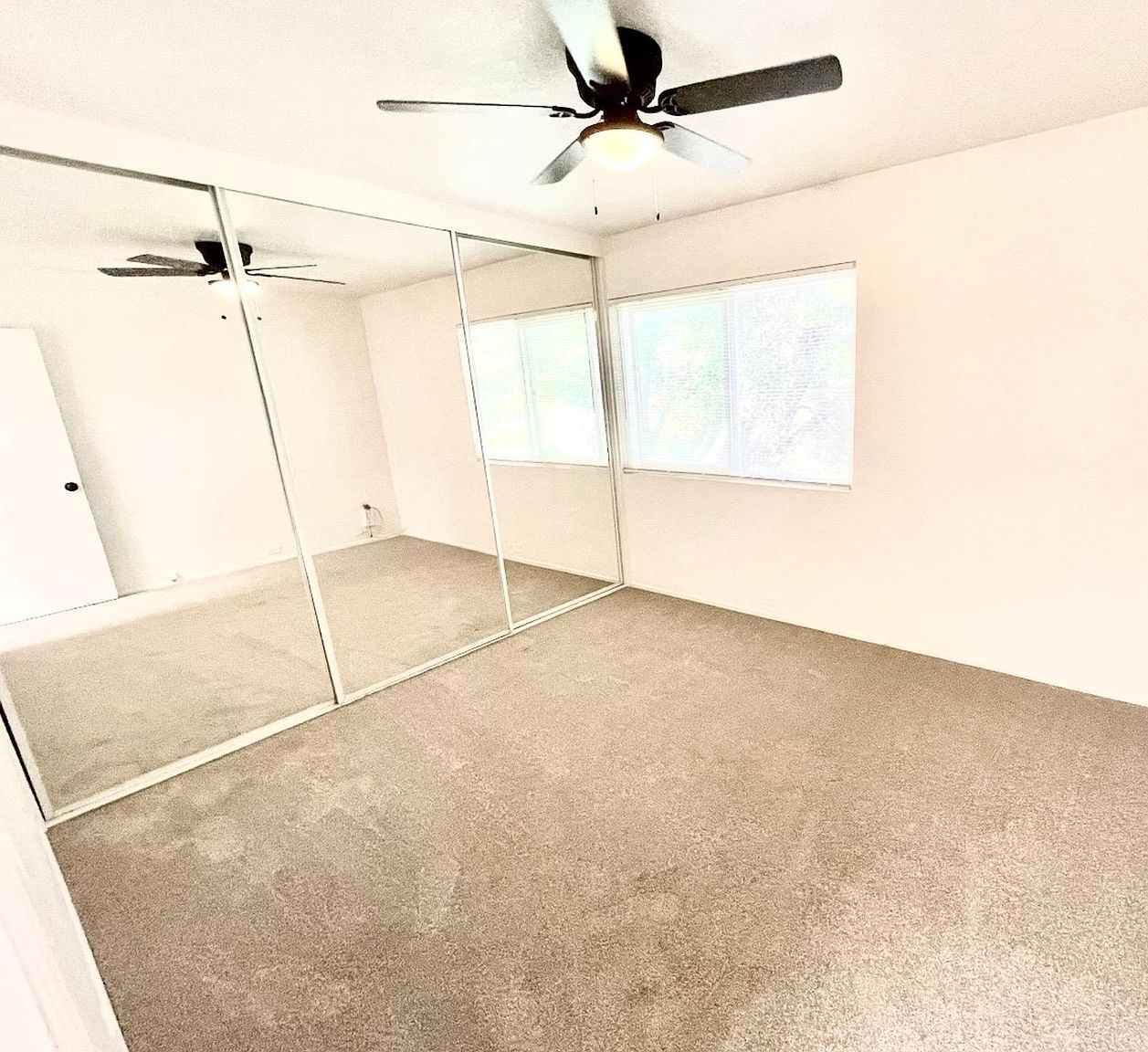 1746 Oliver Ave photo 5