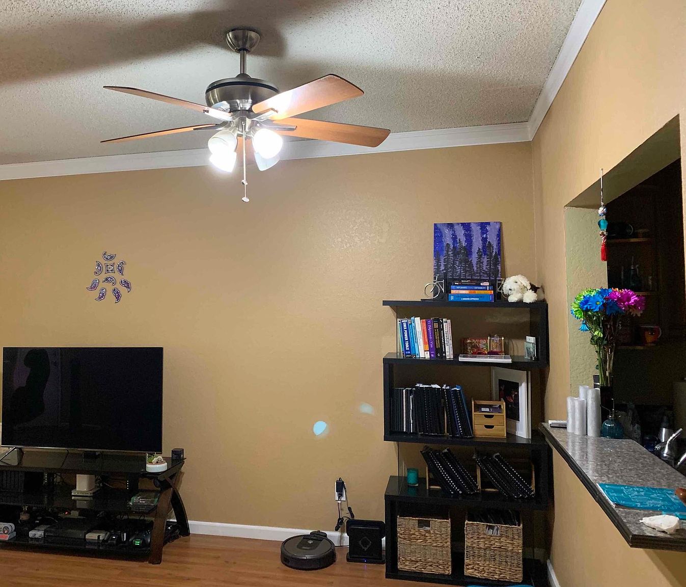 4671 Albany Cir photo 4