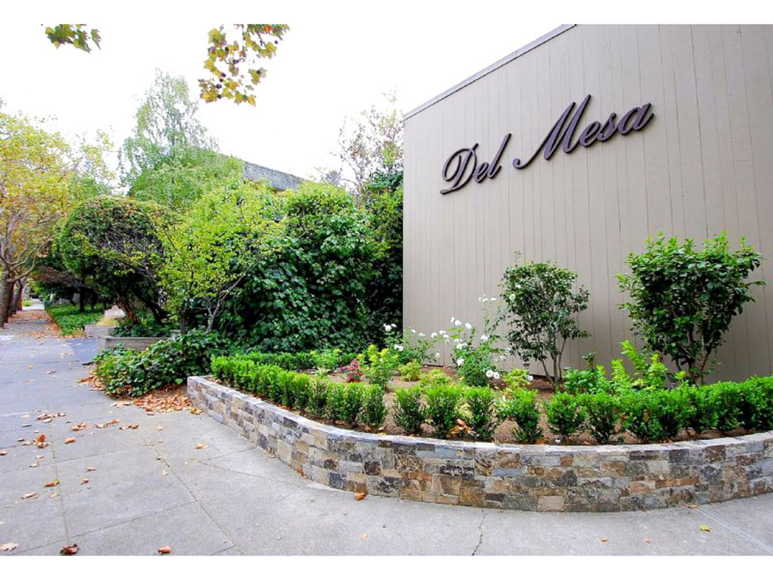 247 D Street, San Rafael, CA 94901 photo 2