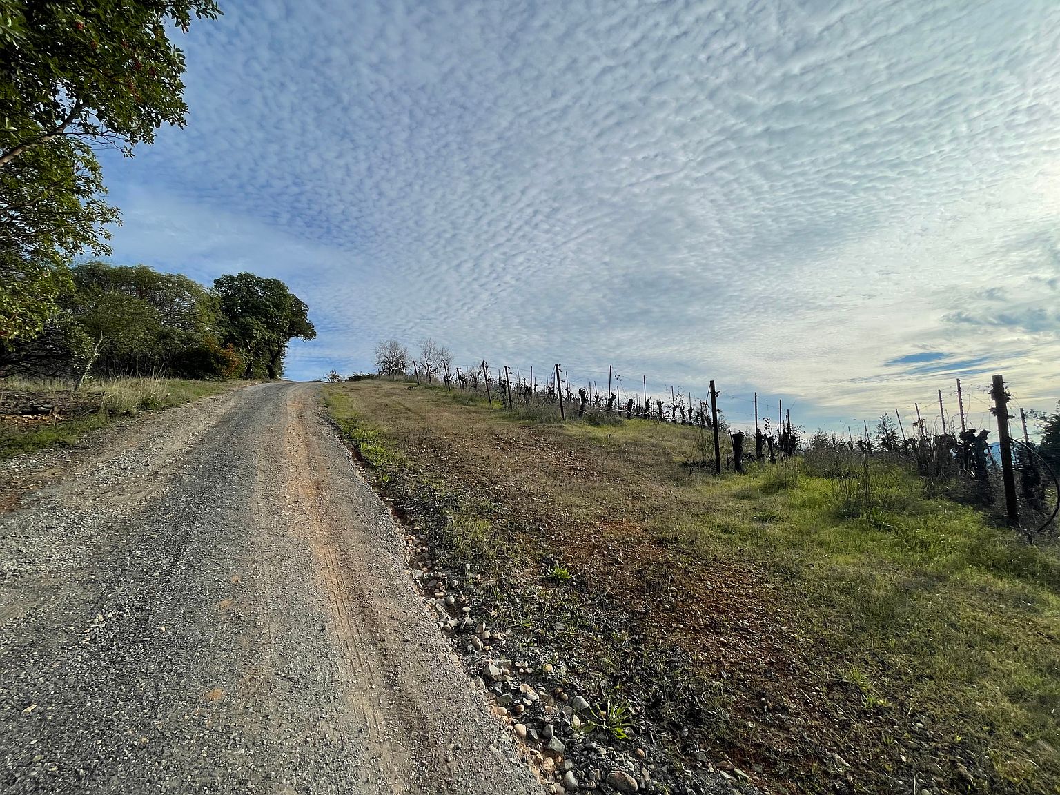24401 Rich Ranch Rd photo 3