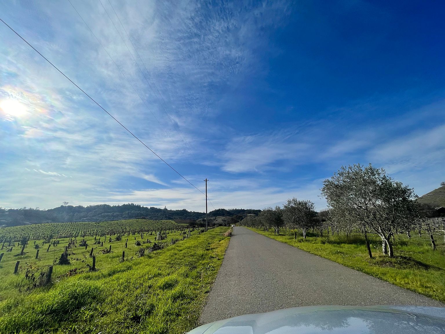 24401 Rich Ranch Rd photo 2
