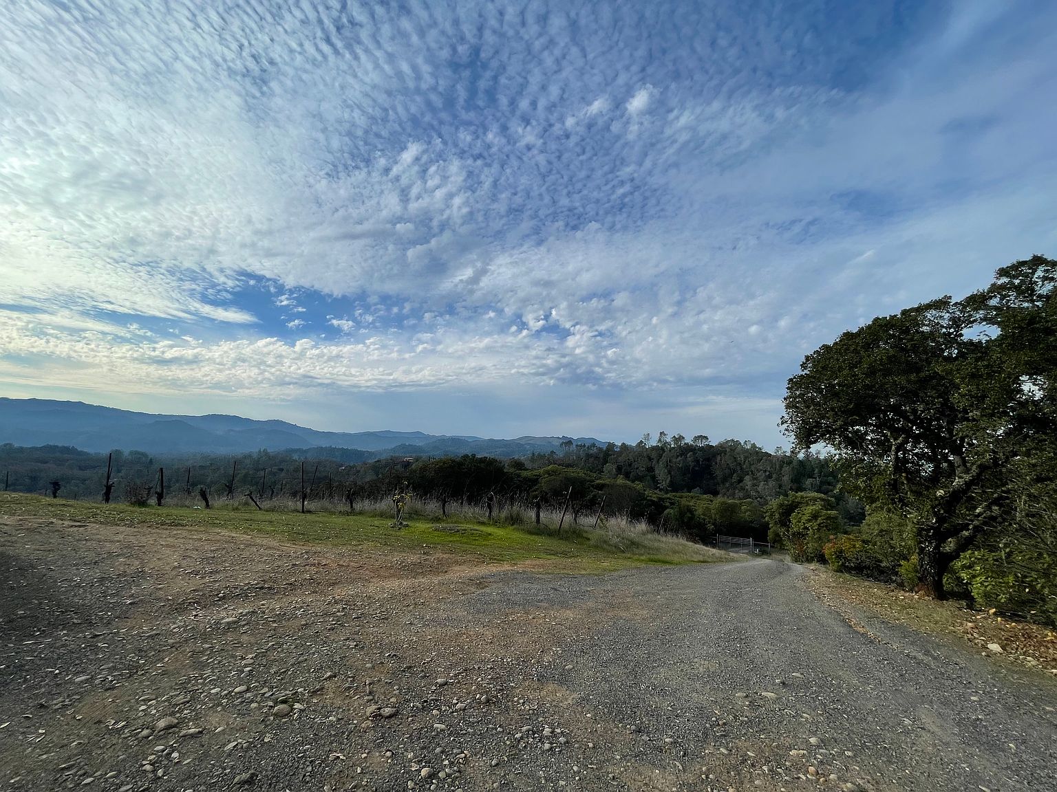 24401 Rich Ranch Rd photo 4