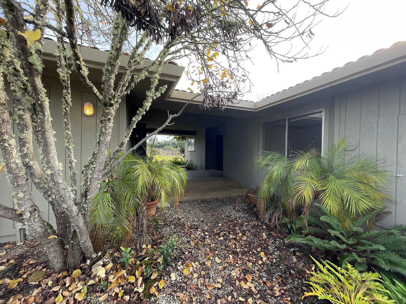24401 Rich Ranch Rd photo 5