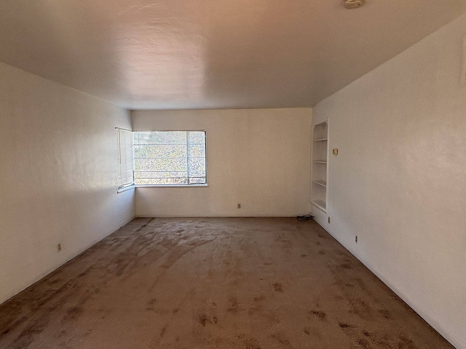 158 W Broadmoor Blvd photo 5