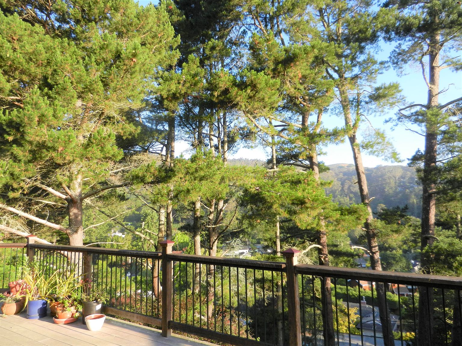 0 Marin Dr photo 5