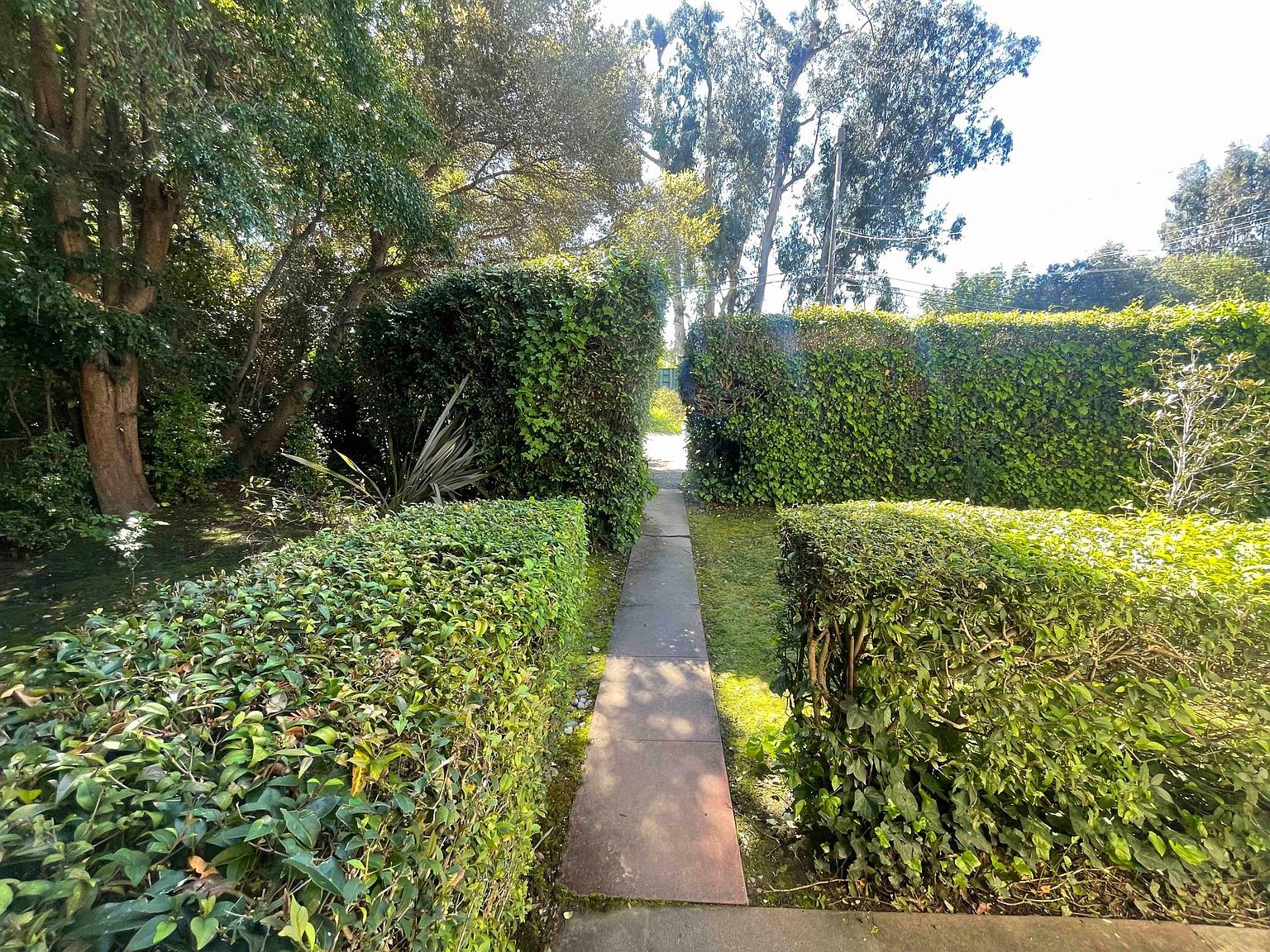1683 Woodland Ave photo 4