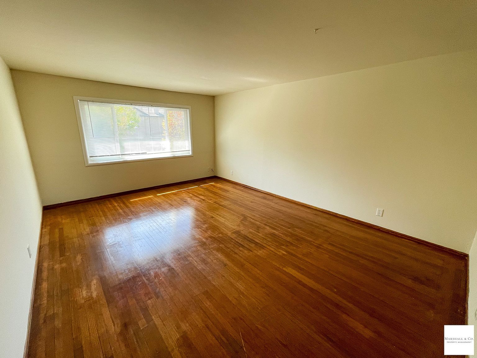 40 Ross Ave unit 3 photo 4