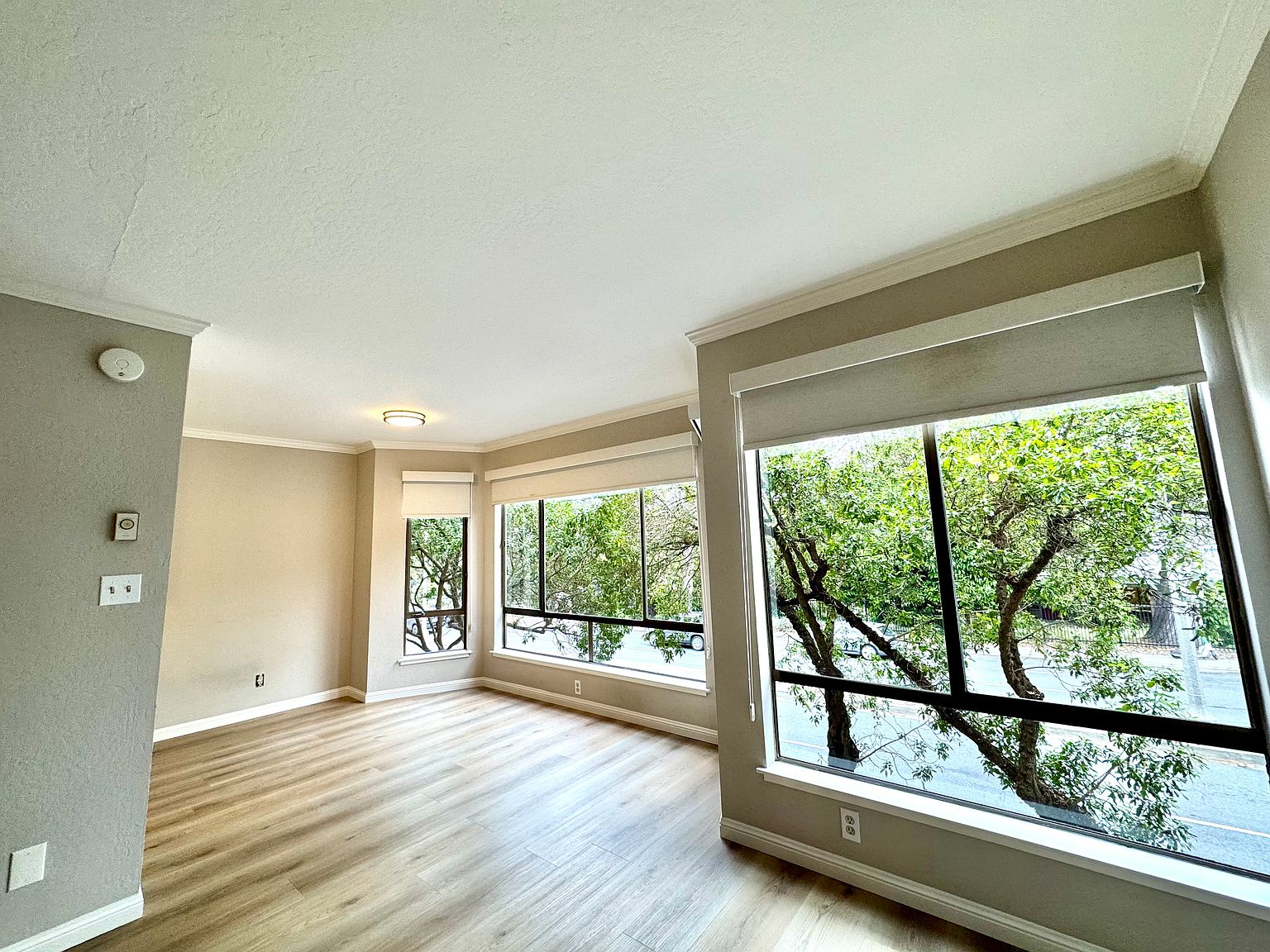 1BR/1BA Apartment on Lincoln Way · San Francisco photo 2